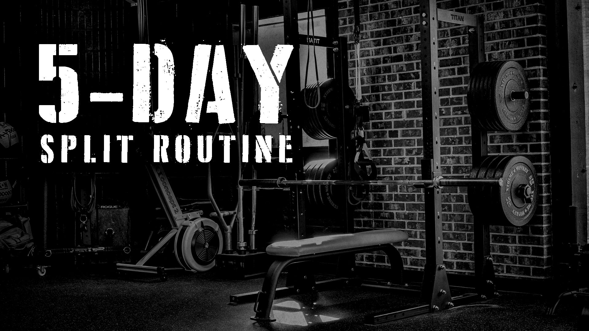 The 5-Day Split Routine