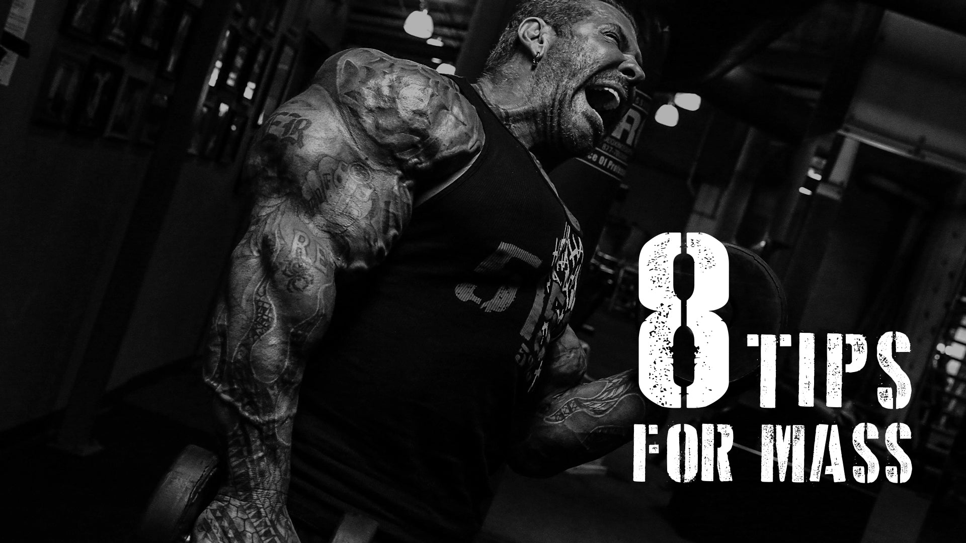 8 Tips for Improved Mass Building