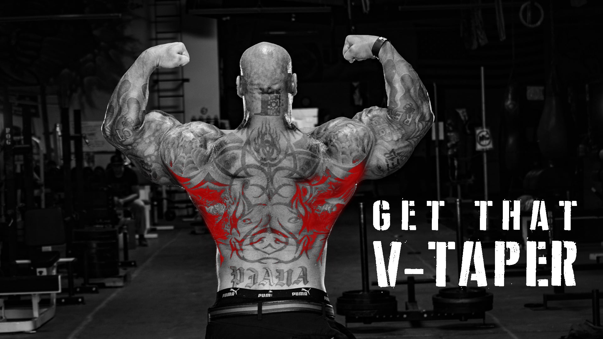 Get That V-Taper!