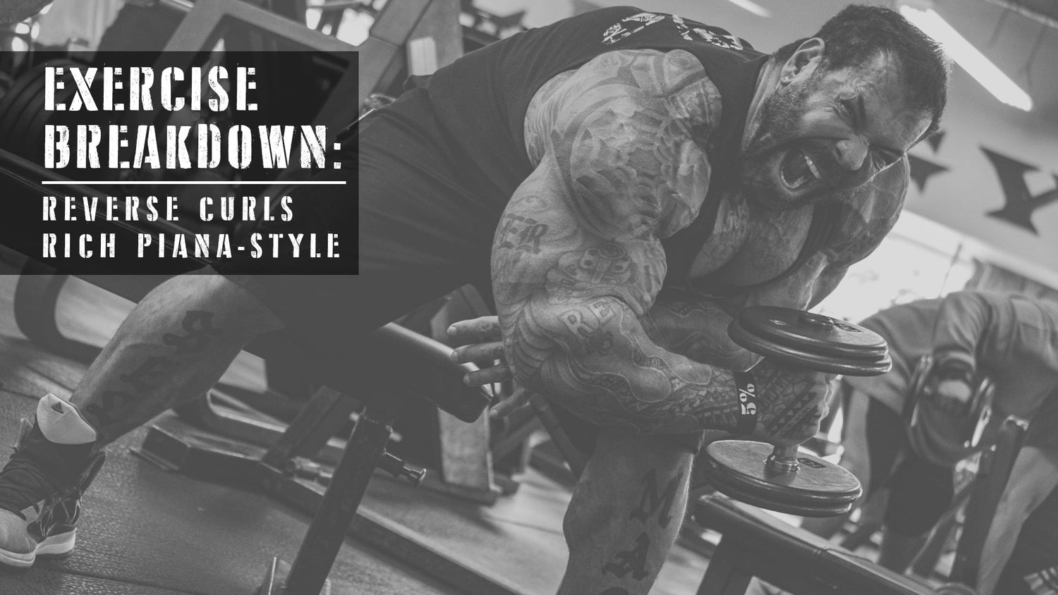 Exercise Breakdown: Reverse Curls Rich Piana-Style!