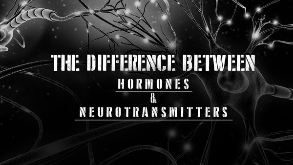 How Hormones And Neurotransmitters Can Help You - Part 2