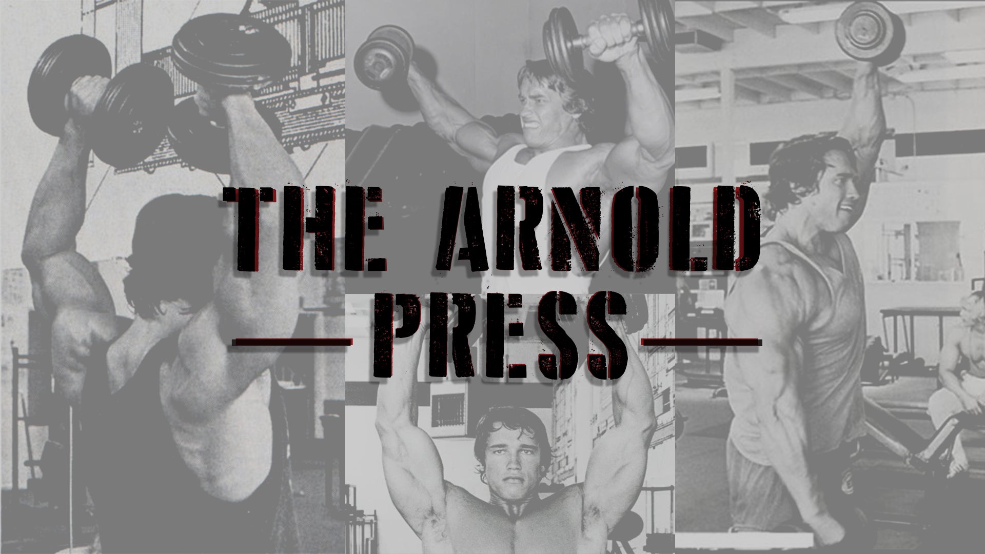 The Arnold Press - Another Classic Exercise