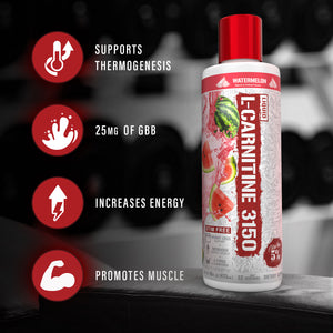 Liquid L-Carnitine 3150